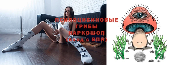 Альфа ПВП Арсеньев