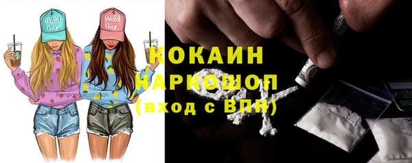 стаф Дмитриев