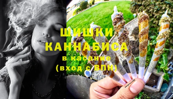 стафф Аркадак