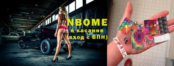 стафф Аркадак