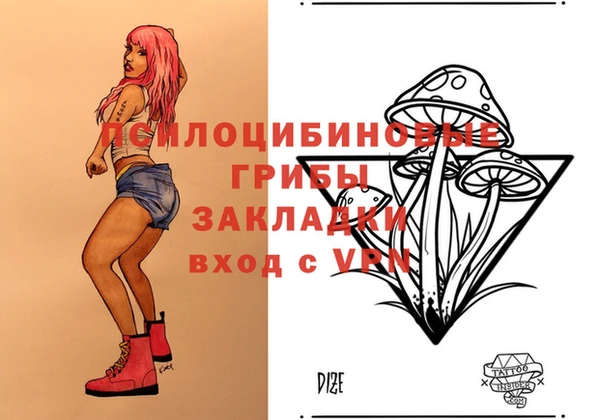 Альфа ПВП Арсеньев