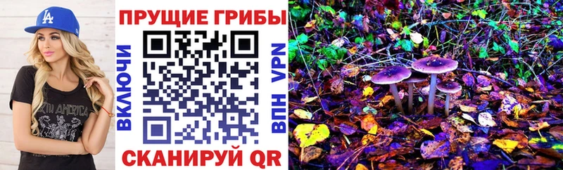 Галлюциногенные грибы Magic Shrooms  Ревда 