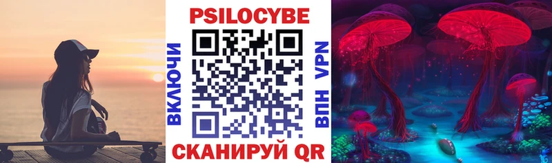 Галлюциногенные грибы Psilocybine cubensis Ревда
